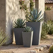 Large Concrete Planters